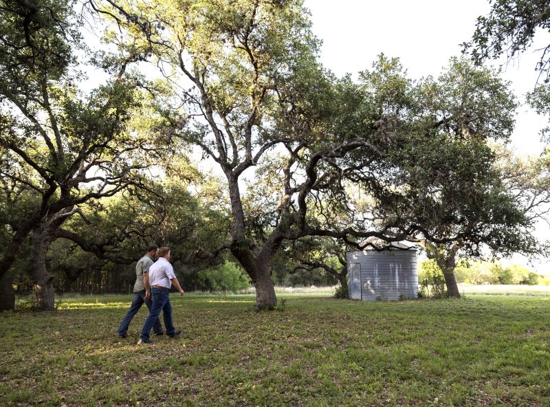 Farm Credit Trends 2024