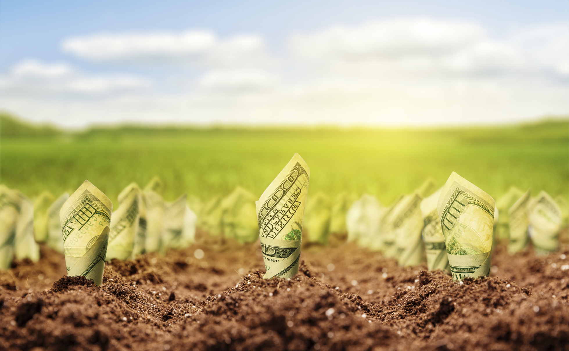 money grows from soil thkstk510948629 money grows from soil thkstk510948629