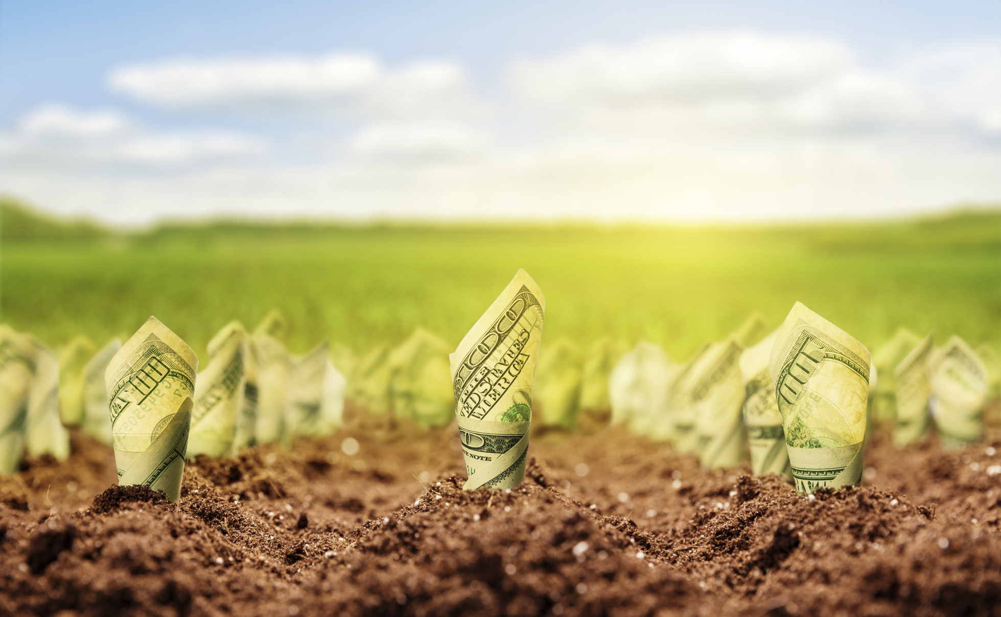 money grows from soil thkstk510948629