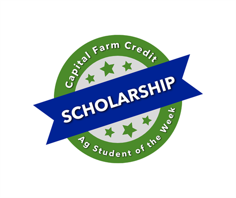 Scholarship Logo 2022