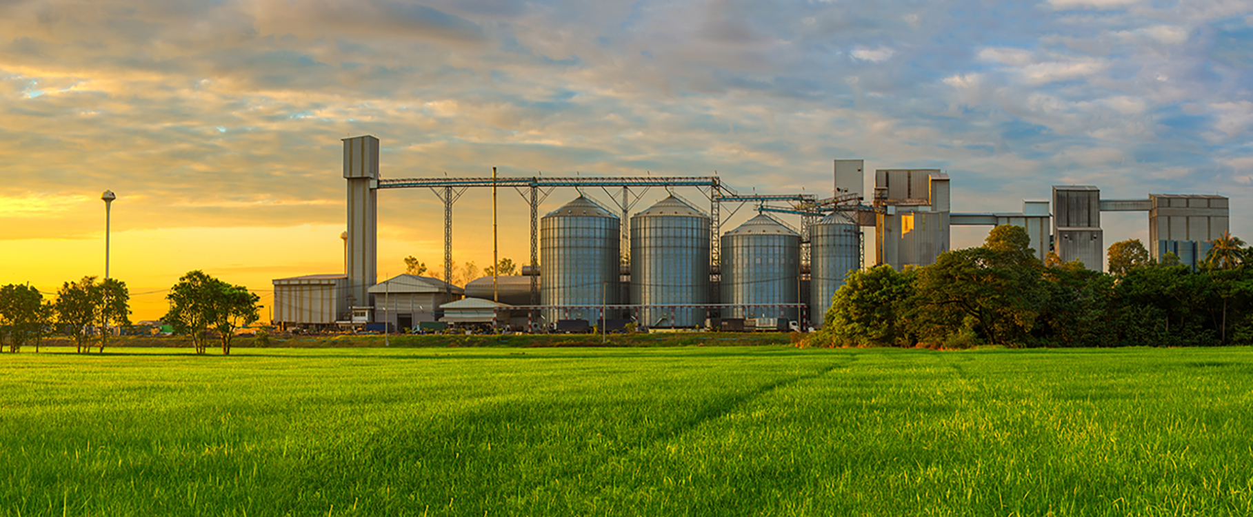 silos_shutterstock_563705926