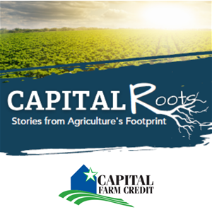 Capital Roots thumbnail