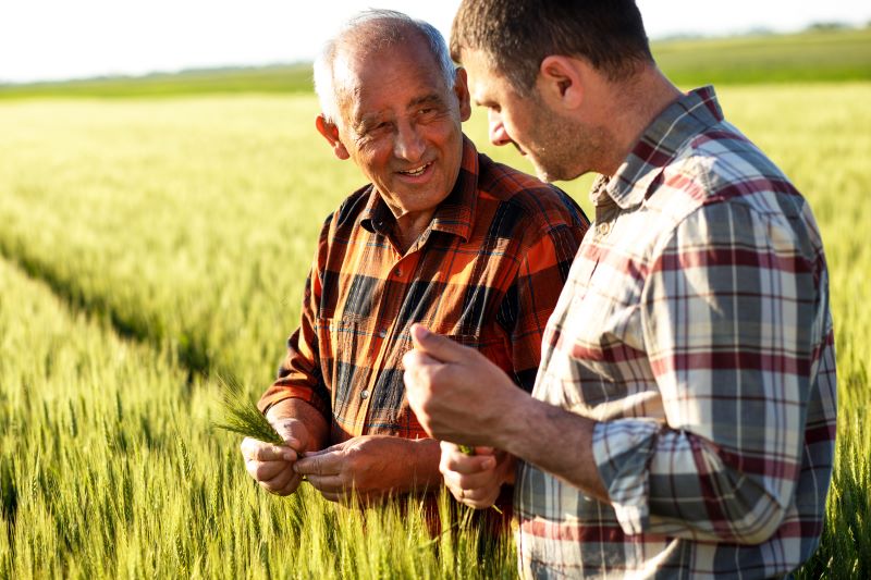 Two men observing a plant while standing in a field.