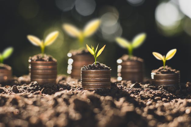 Tiny plants sprout from coins in soil, representing the idea of financial growth and sustainability.