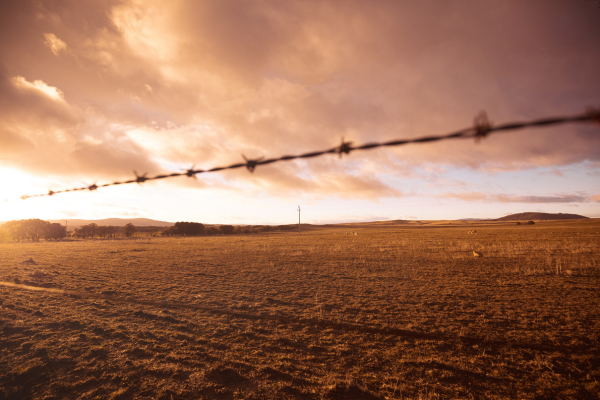 A barbed wire fence stretches across a field, silhouetted against a colorful sunset sky.