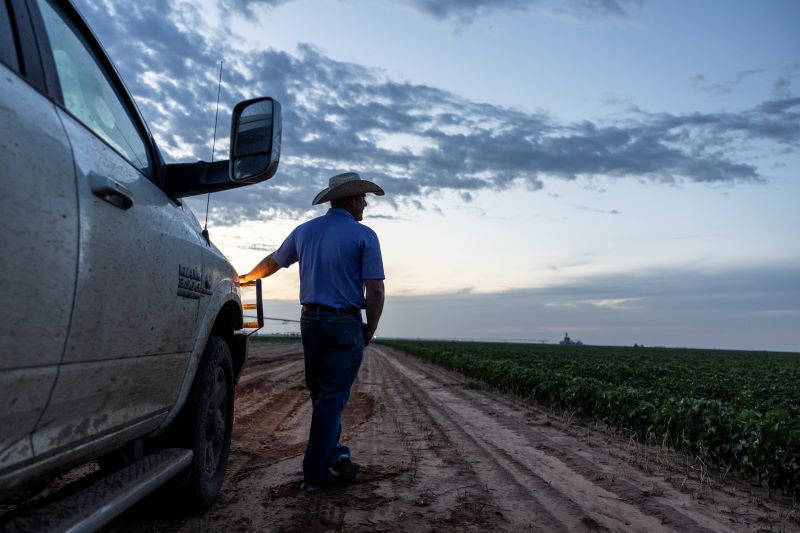 A farmer stands beside his truck, next to a field of green crops.