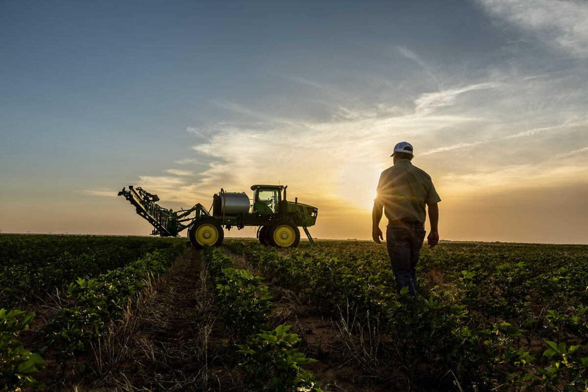 A person walks through a crop field toward a tractor with a sprayer attachment at sunset.