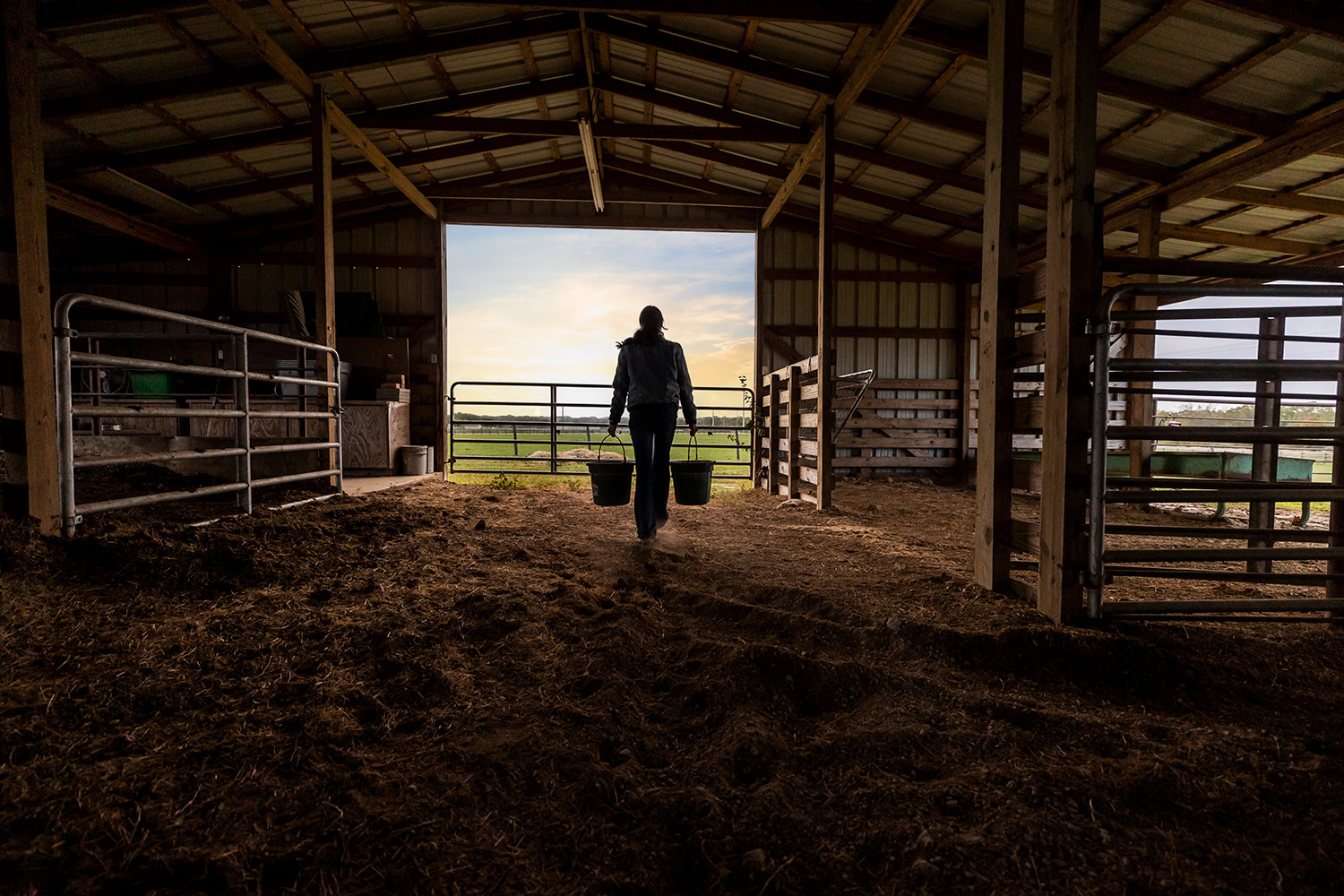 A farmer carries buckets out of her barn. She is back lit by a beautiful sunset.