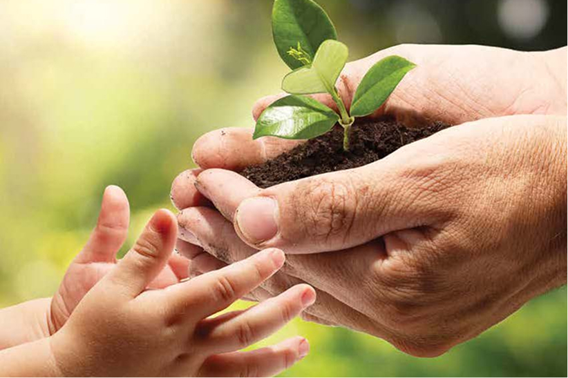 A baby's hands reach for an adult's hands cupping soil and a live plant
