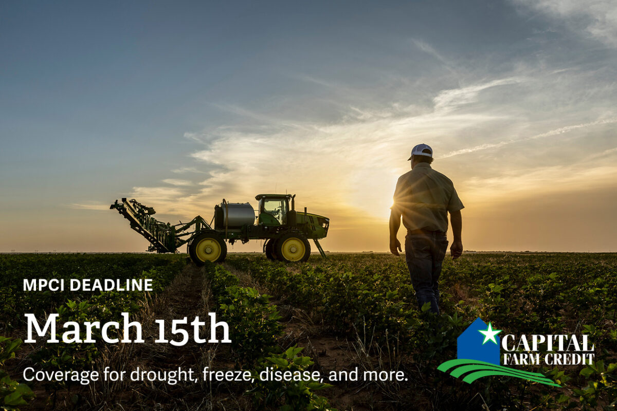 A man walking toward farm equipment in a field of crops at sunset. Text on image reads MPCI Deadline March 15. Coverage for drought, freeze, disease and more.