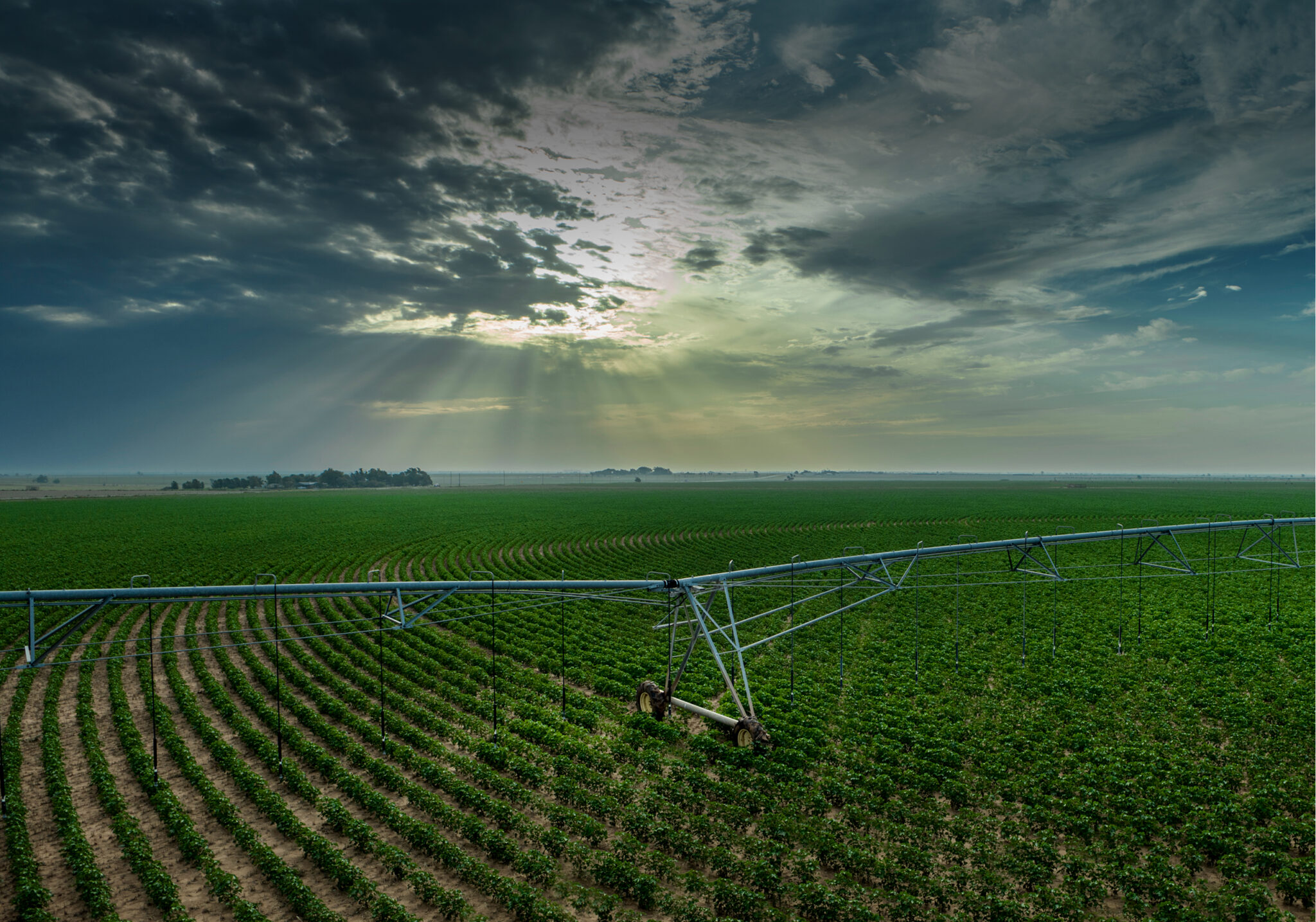 Loan Calculator | Capital Farm Credit