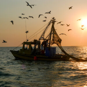 a fishing boat at sunset with several birds in the sky