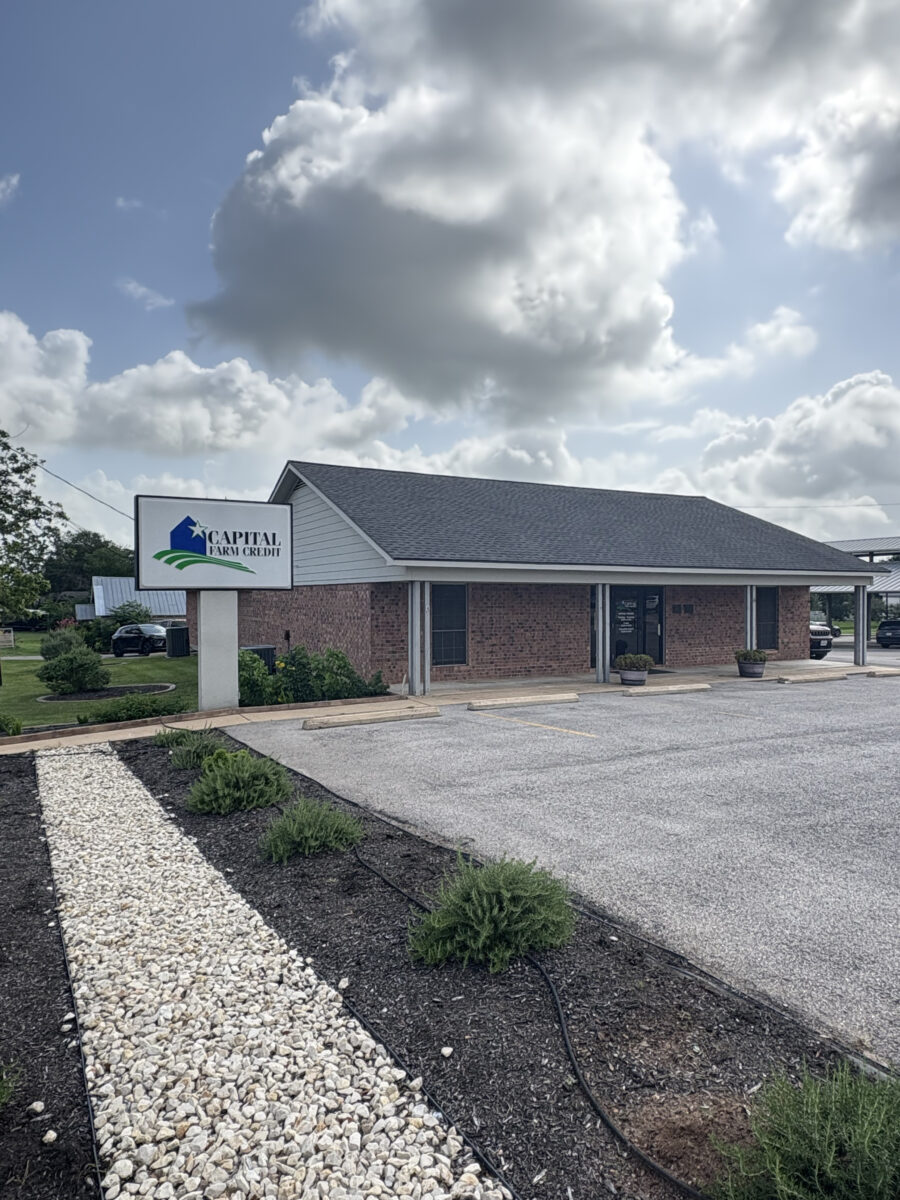 Bellville Office