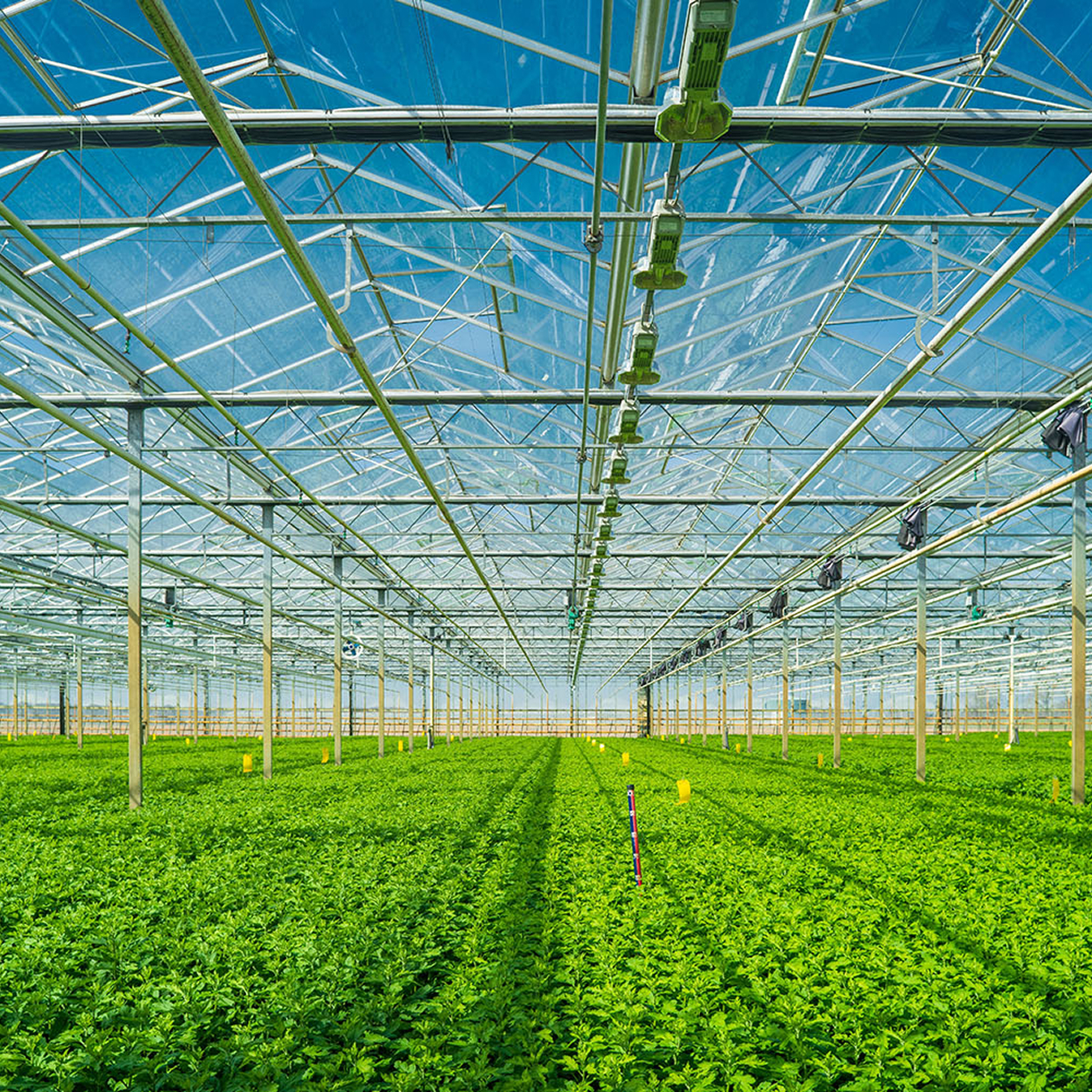 Capital Farm Credit
