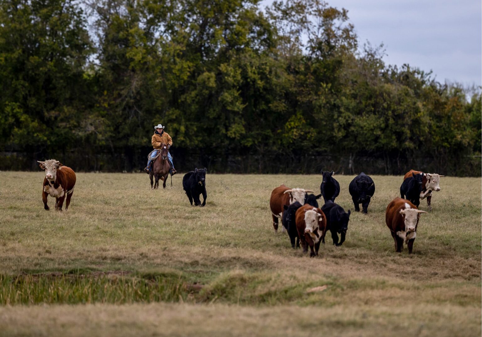 Loan Calculator | Capital Farm Credit