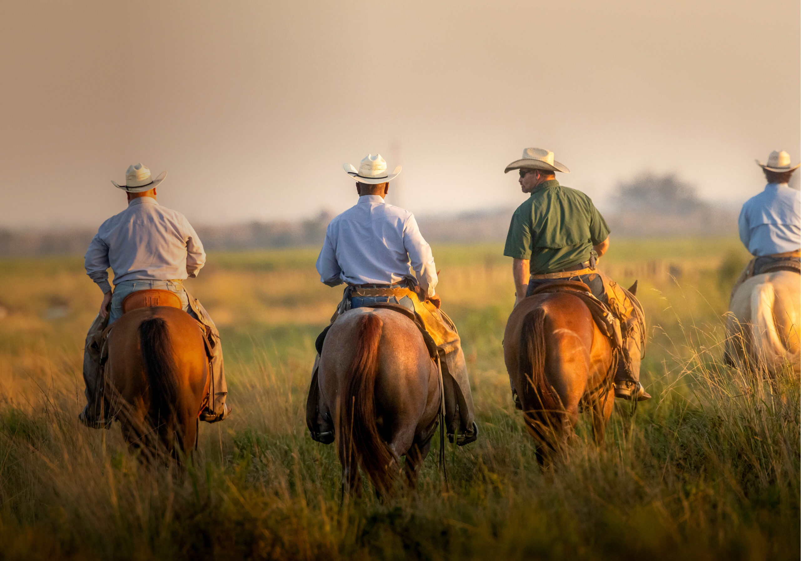 Four ranchers on horseback facing into the distance