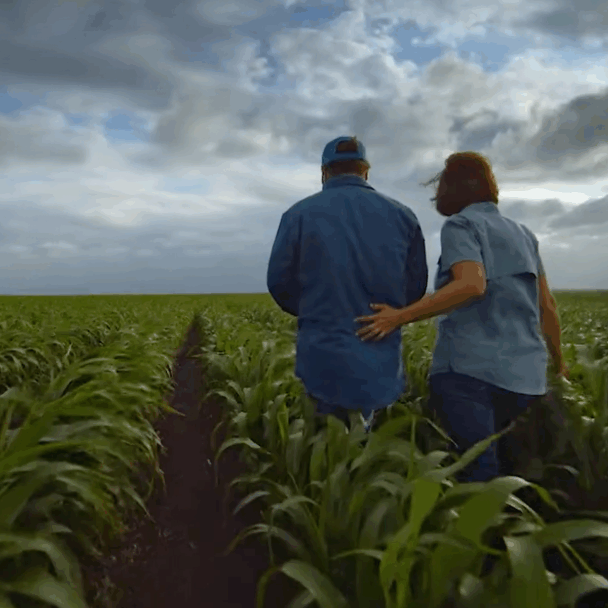 Two farmers in a row crop field, one with a hand on the other's back