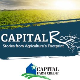 Capital Roots