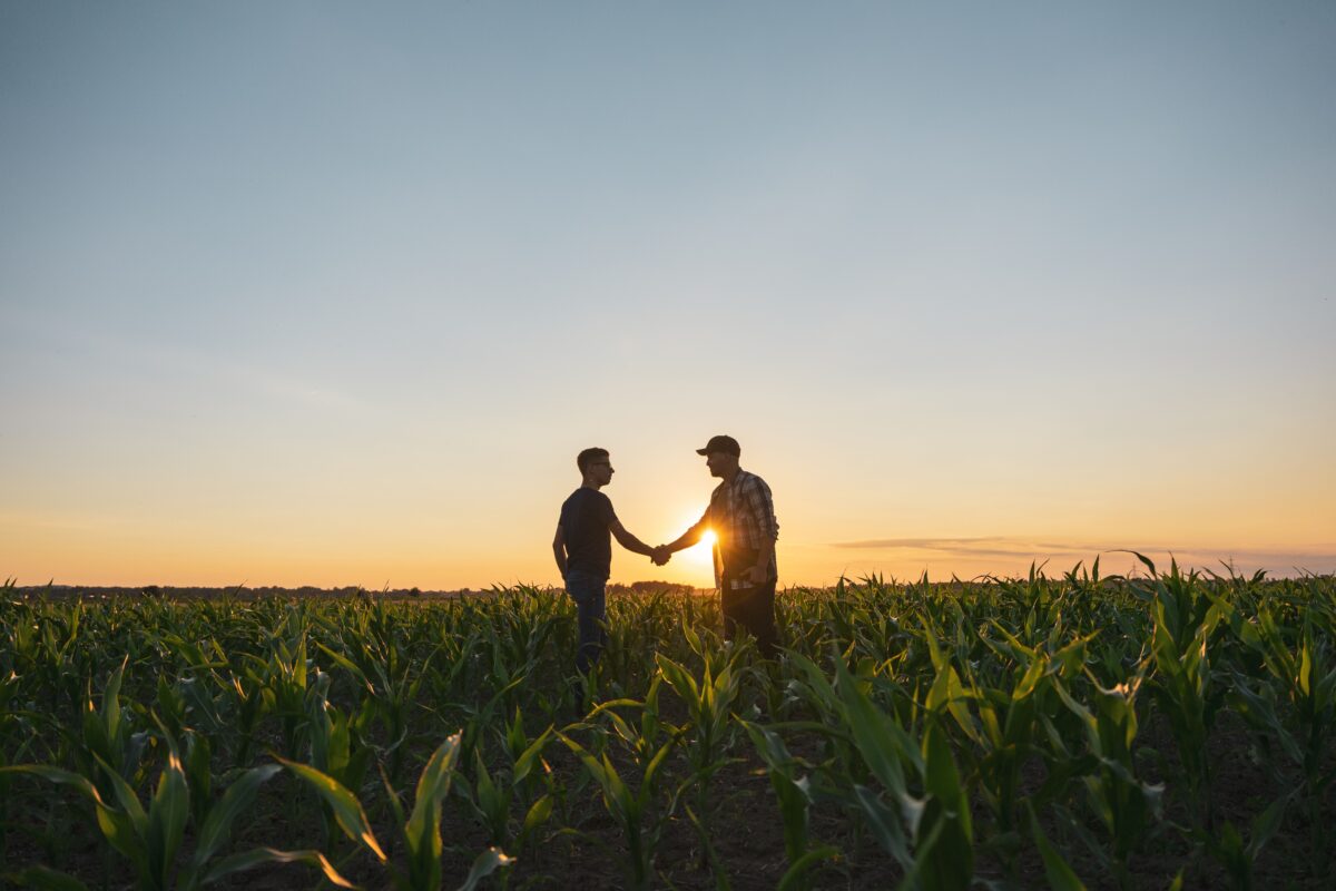 Two men shake hands in a field of crops.
