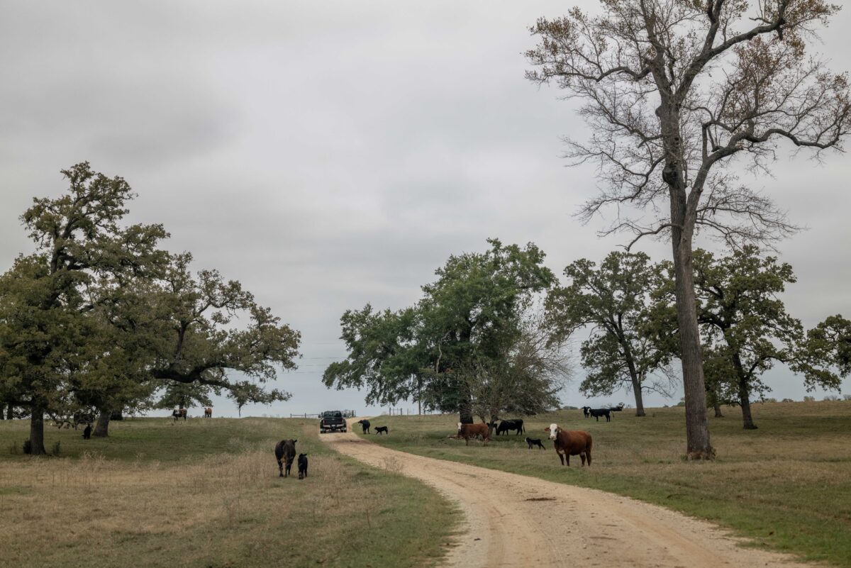 Farm road