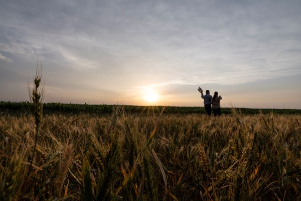 Members in a field.