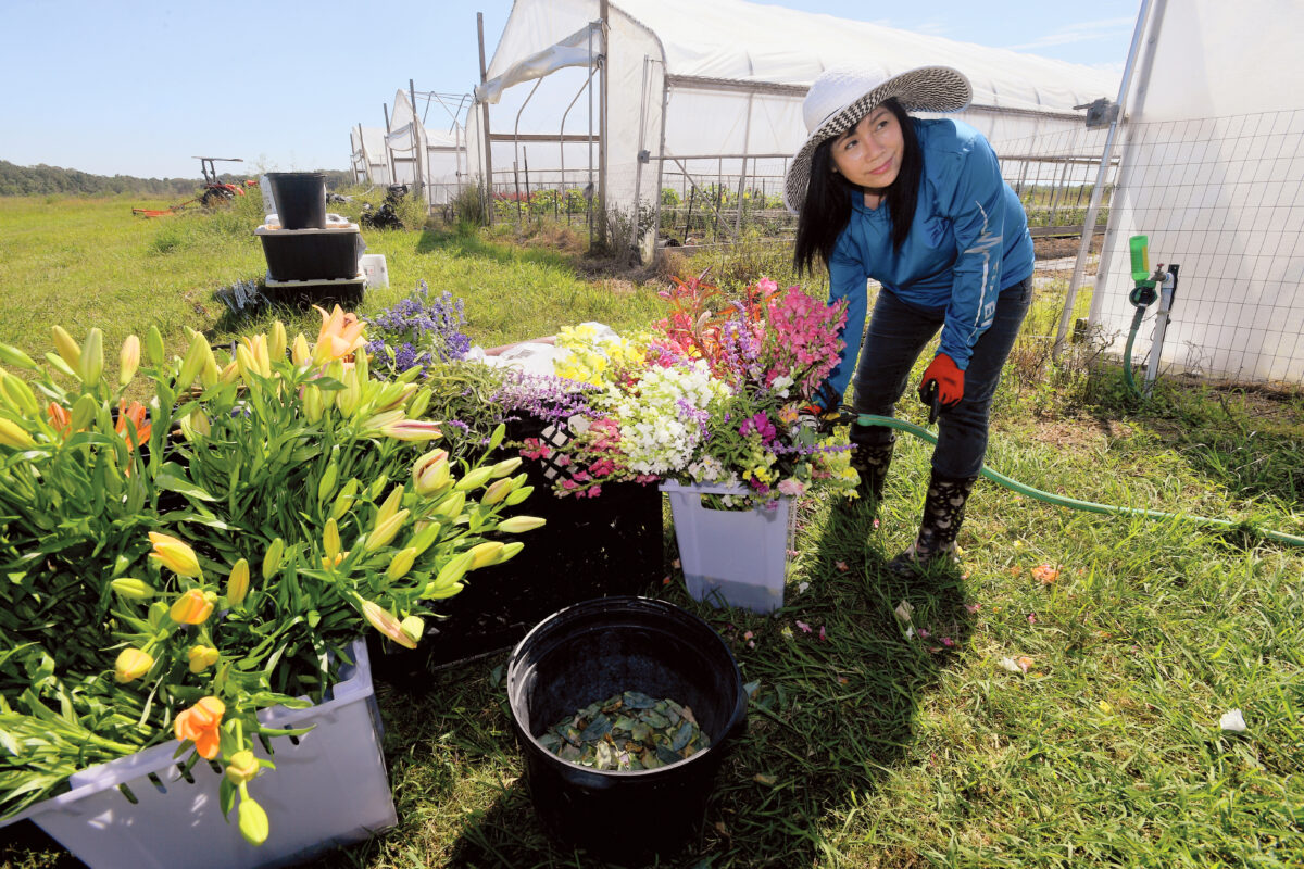 Nga Nguyen watering flowers