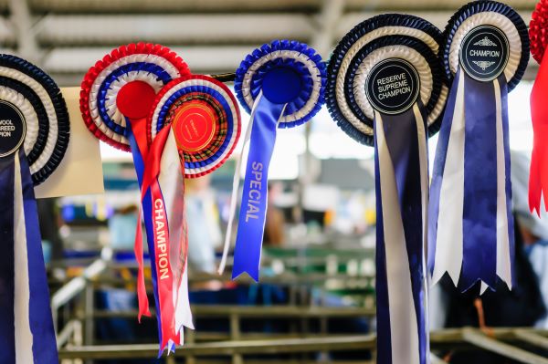 Award ribbons