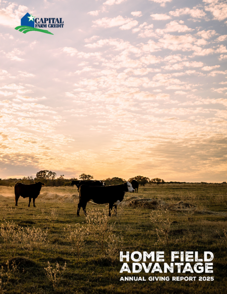 Cover image of 2025 Giving Report featuring cows in a pasture at sunset